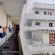 Cricket practice Nets